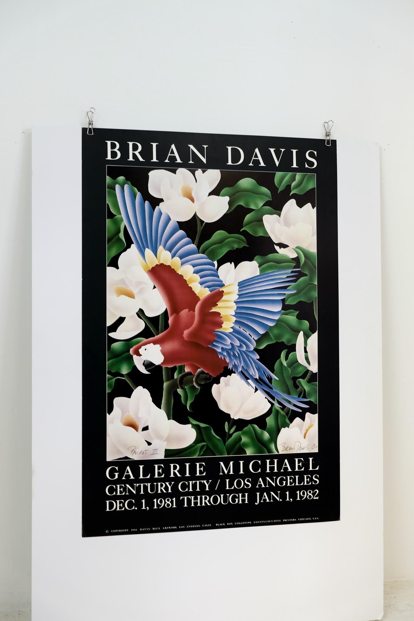 Brian Davis “Parrot III” Galerie Michael Print