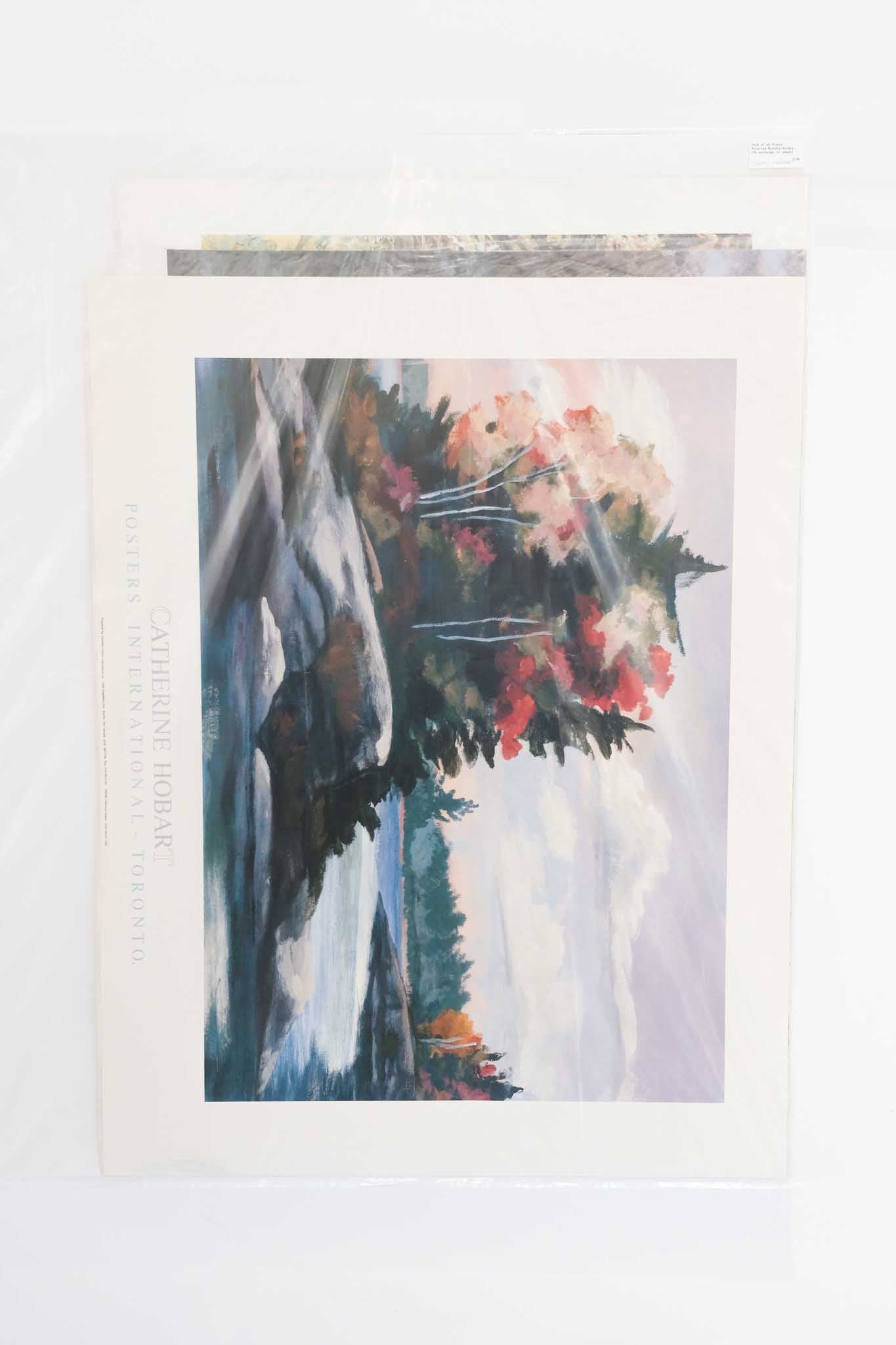 Mystery Print Bundle: "Floral Landscapes"