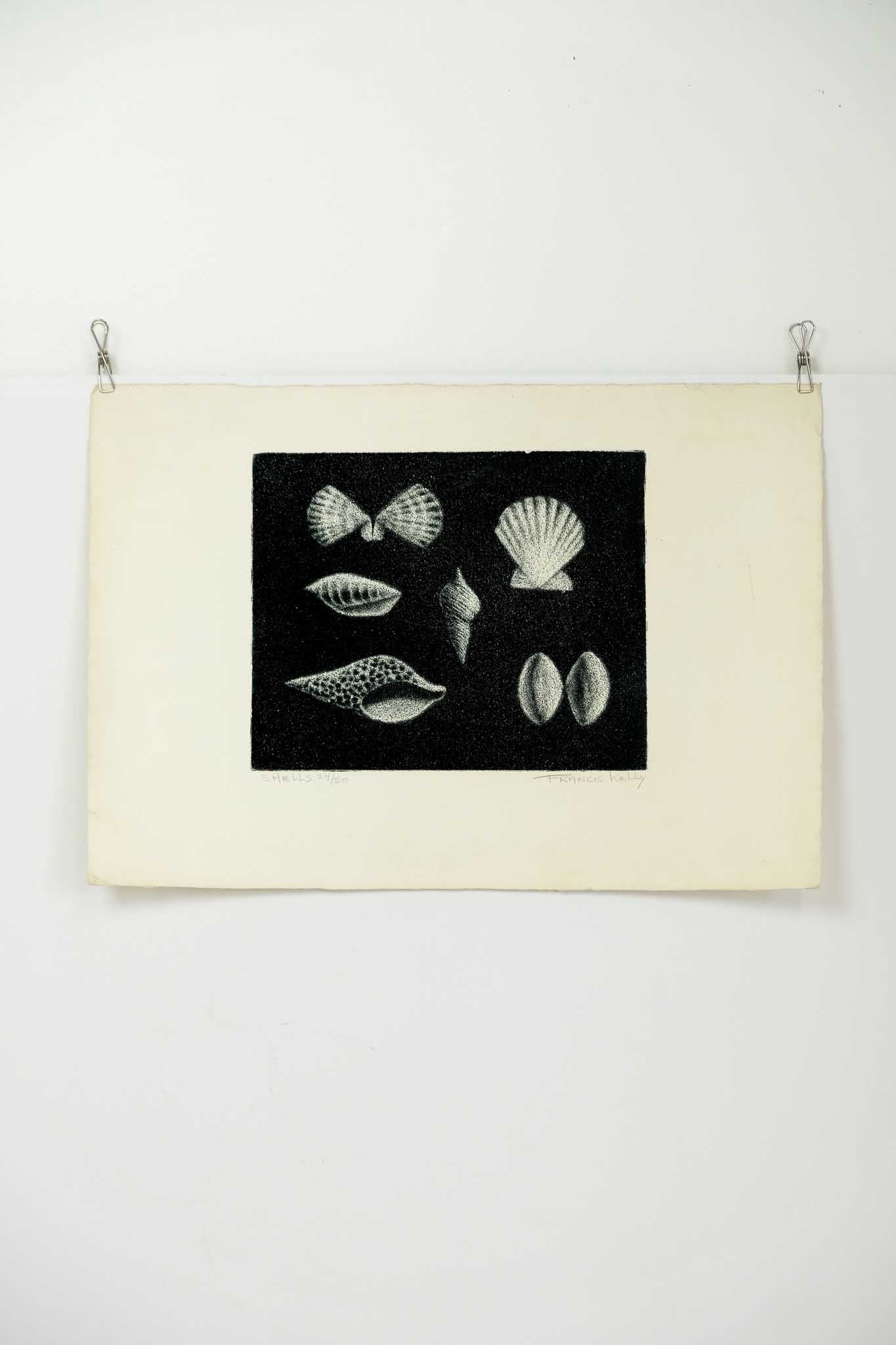 Francis Kelly "Shells" Etched Print