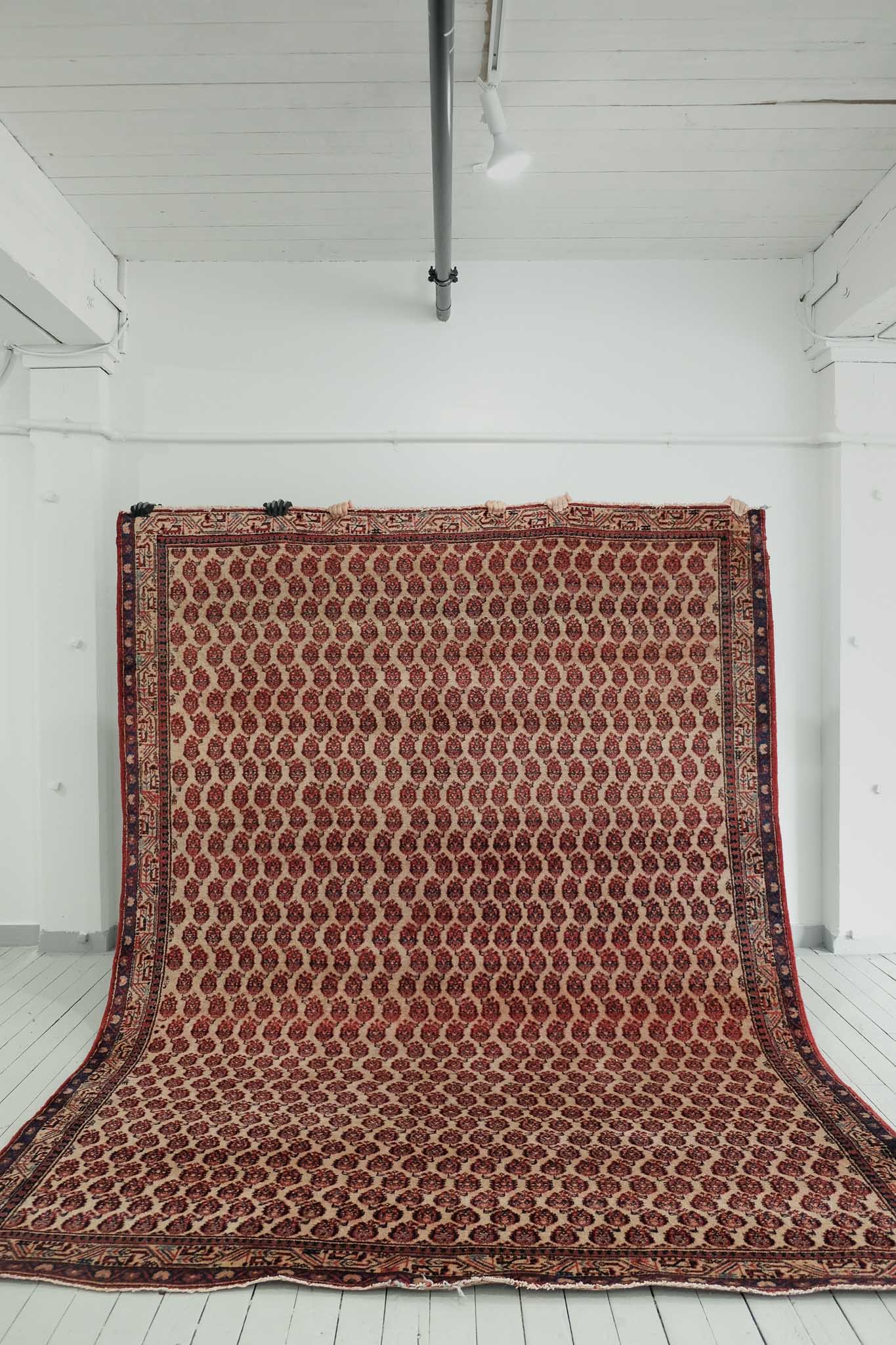 Hand Woven Bukhara Wool Area Rug 7'6" x 10'5"