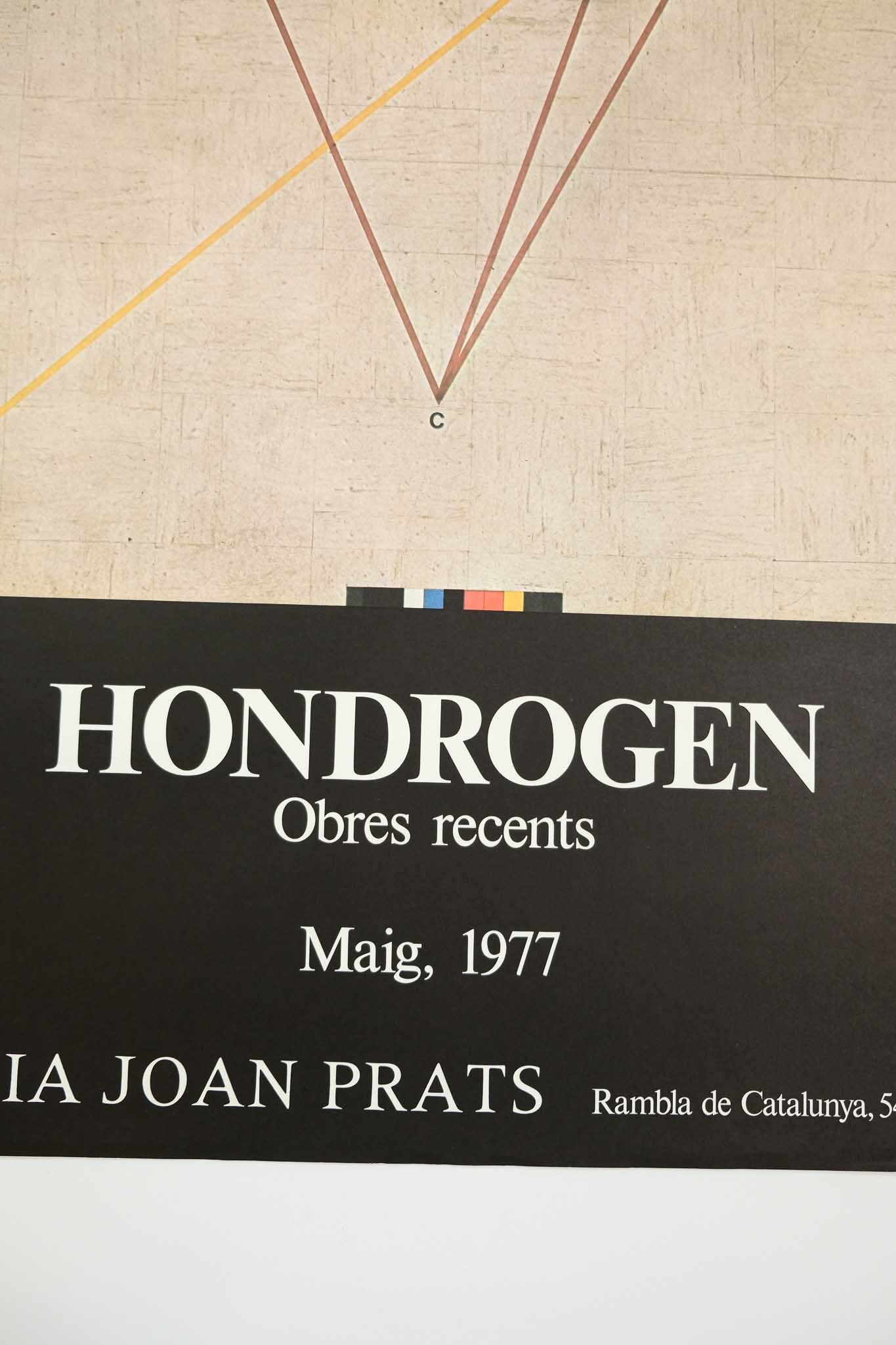 Nicholas Hondrogen 1977 Galeria Joan Prats Print