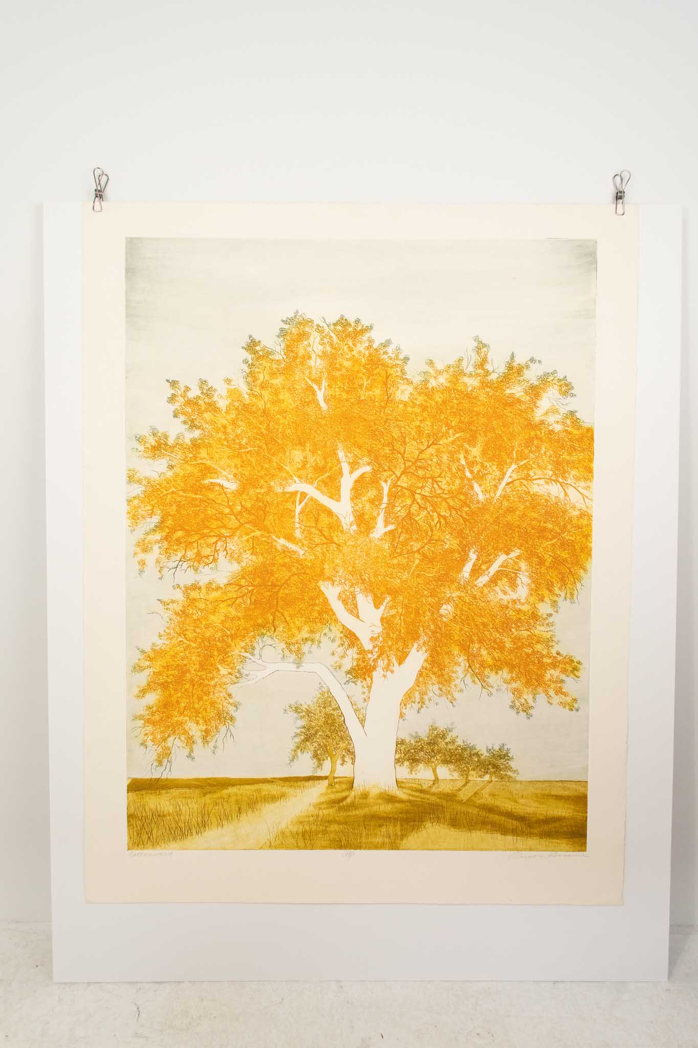 Russa Graeme "Cottonwood" Artist Proof Print
