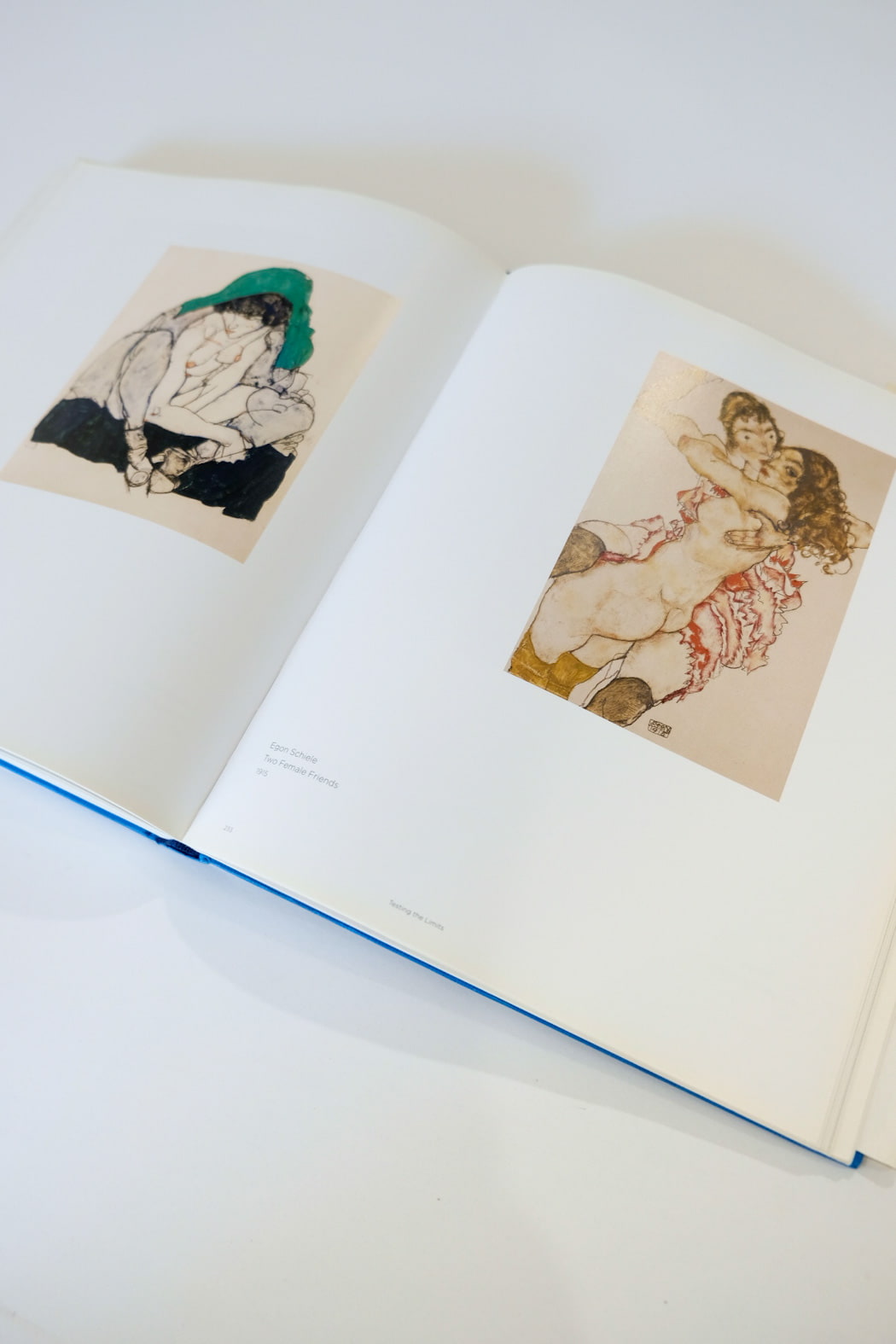 The Naked Truth Klimt Schiele, Kokoschka and Other Scandals